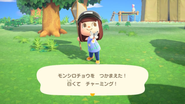 あつ森で虫を捕まえている画像