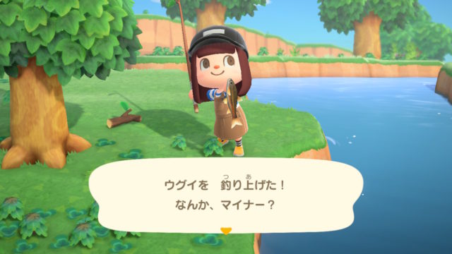 あつ森の釣りの画像