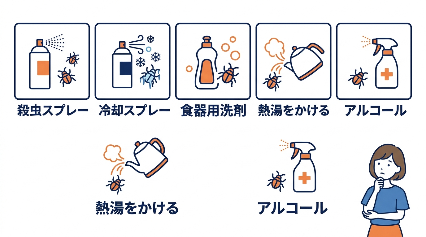ゴキブリが出たときの対処法と即効駆除の手順