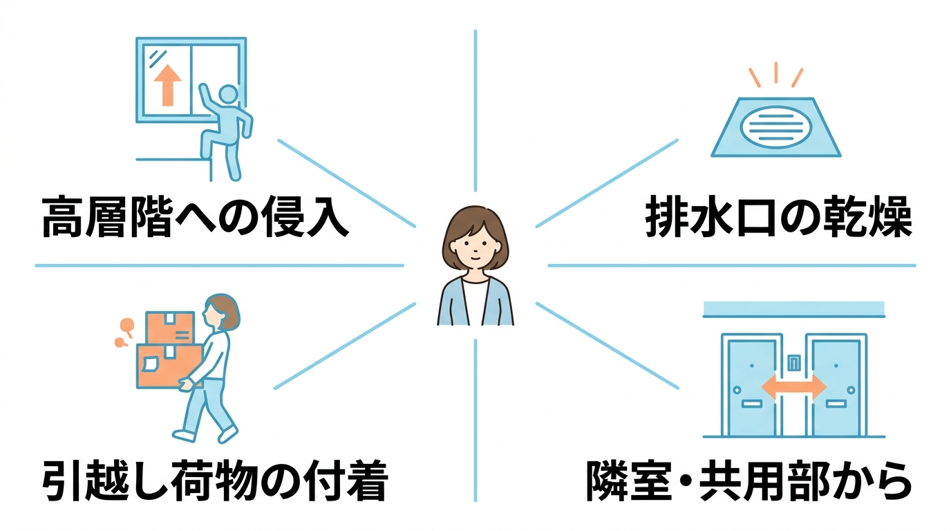 マンションや新築でもゴキブリが発生する理由