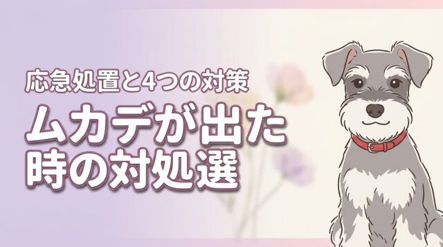 ムカデが出た時の対処法5選！噛まれた際の応急処置と侵入を防ぐ4つの対策