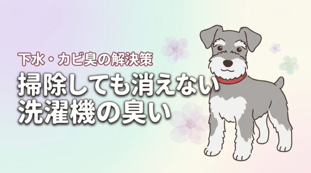 掃除しても洗濯機の臭いが取れない？原因を特定して下水やカビ臭を根本から消す方法