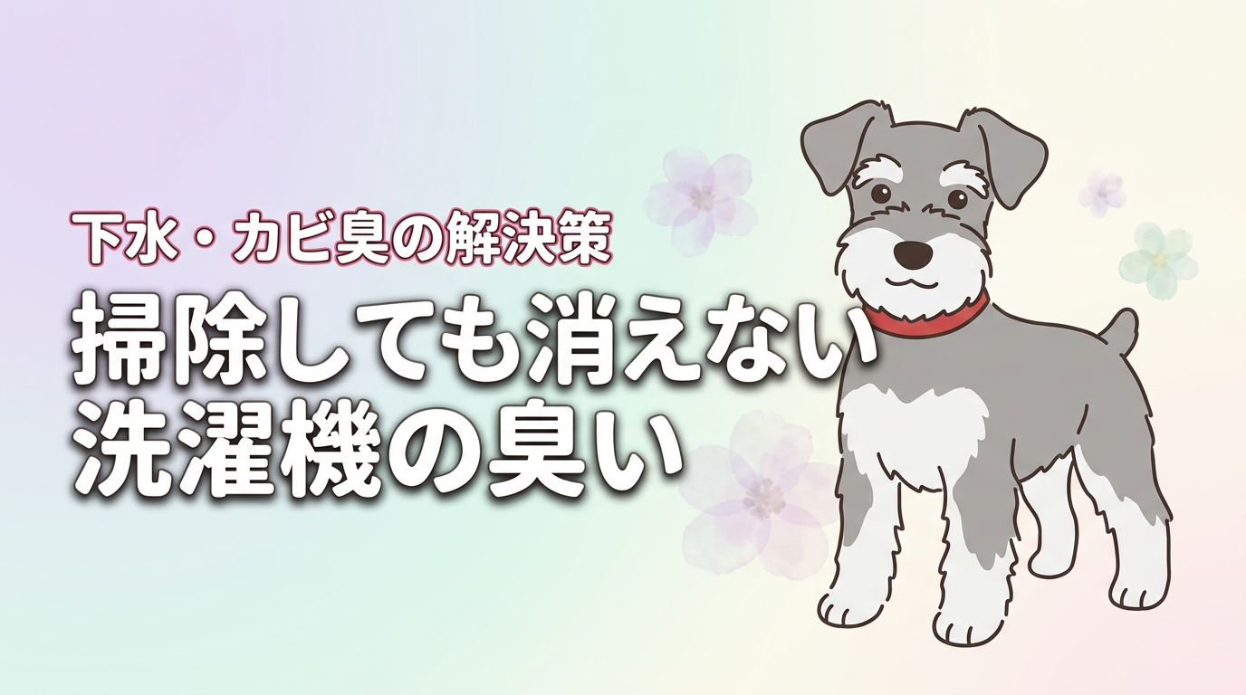 掃除しても洗濯機の臭いが取れない？原因を特定して下水やカビ臭を根本から消す方法